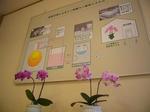 店内展示2